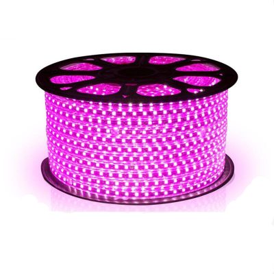 High voltage outdoor led strip light (6)
