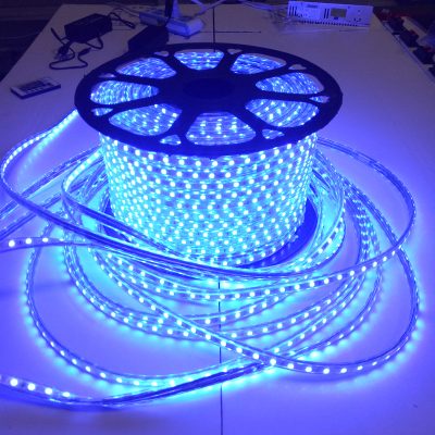 Outdoor decoration waterproof led strip lights (6)